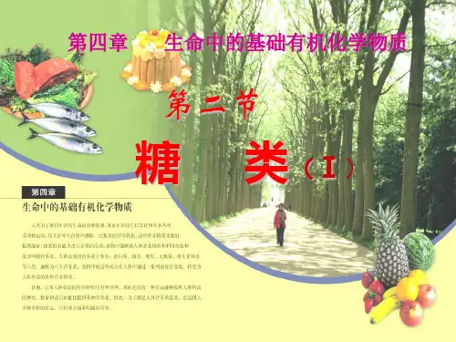 《糖类》(17)-完整版PPT