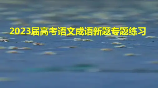 高考语文复习：成语新题专题练习课件