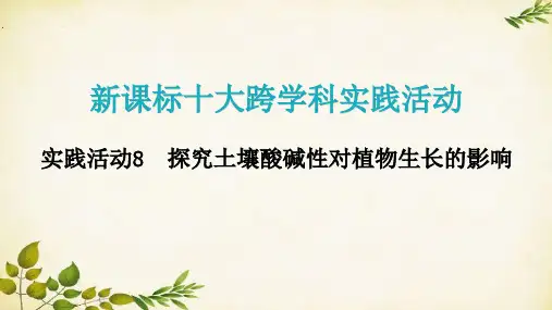 人教版九年级化学 实践活动8  探究土壤酸碱性对植物生长的影响课件(共15张PPT)