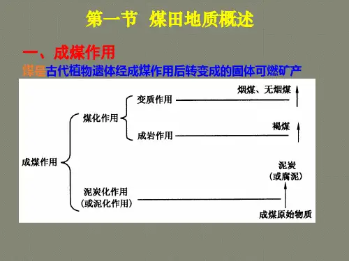 第一章煤田地质及矿图知识