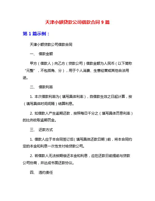 天津小额贷款公司借款合同9篇
