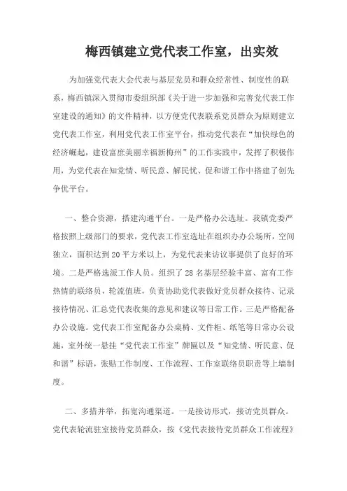 梅西镇党代表工作室出实效