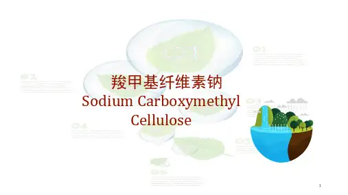 羧甲基纤维素钠(CMC)的结构与在牙膏中的应用