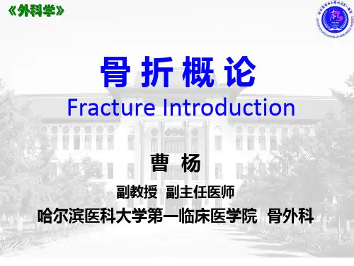 骨 折 概 论.PPT