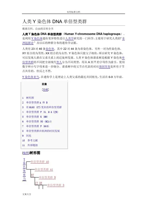 人类Y染色体DNA单倍型类群