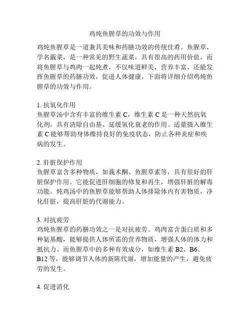 鸡炖鱼腥草的功效与作用