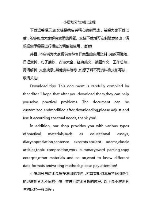 小层划分与对比流程