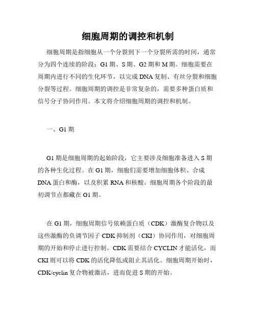 细胞周期的调控和机制