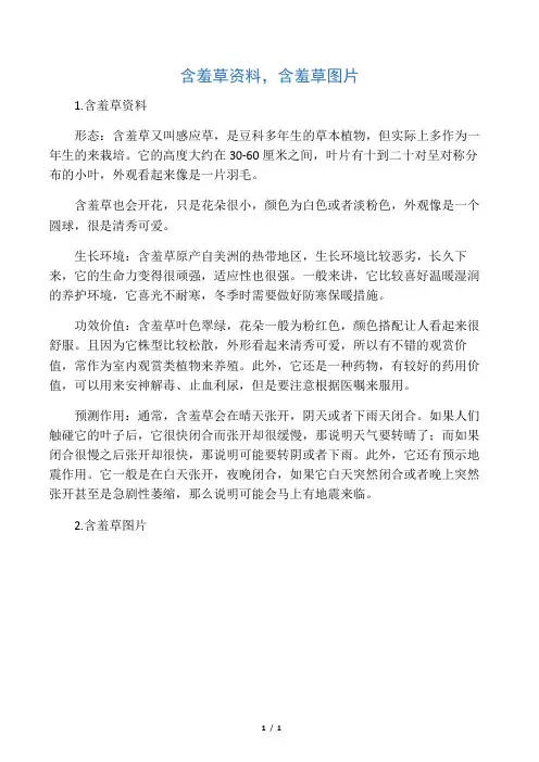 含羞草资料,含羞草图片
