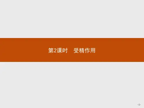 高中生物人教(2019)新教材必修2课件：第2章第1节第2课时 受精作用