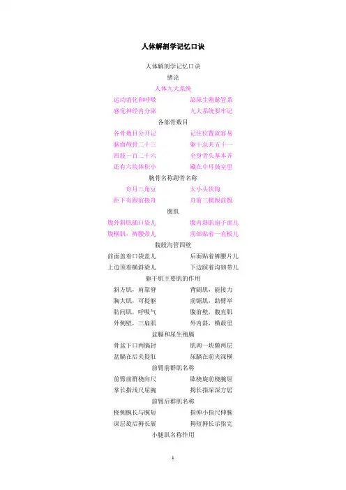 人体解剖学记忆口诀(范小春)解读