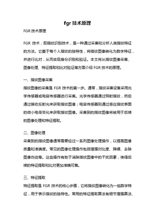 fgr技术原理