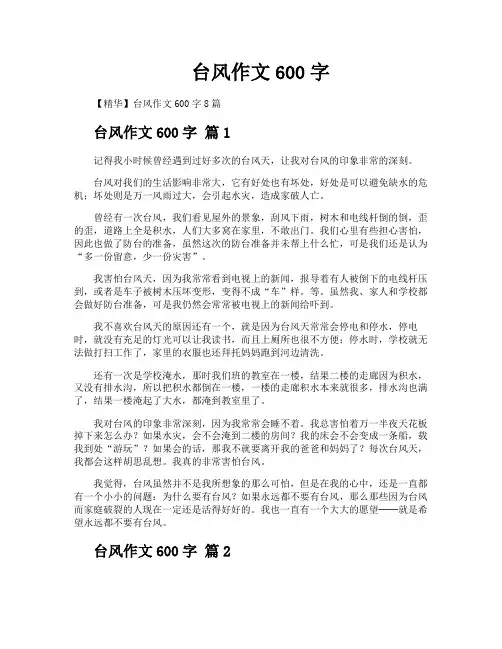 台风作文600字