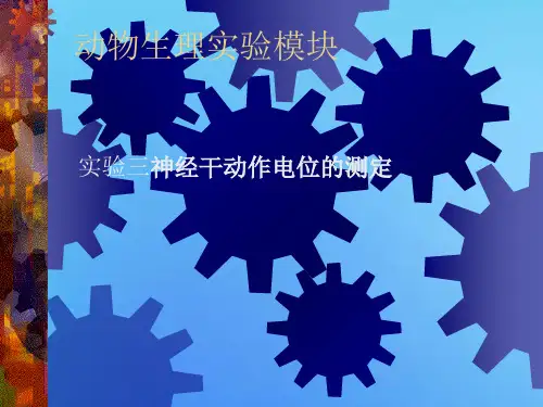 实验三神经干动作电位的测定
