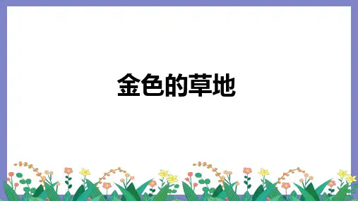 金色的草地ppt课件
