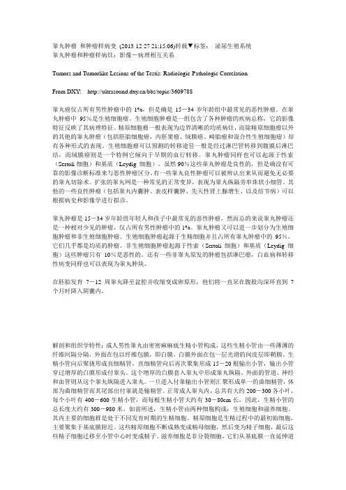 睾丸肿瘤和肿瘤样病变