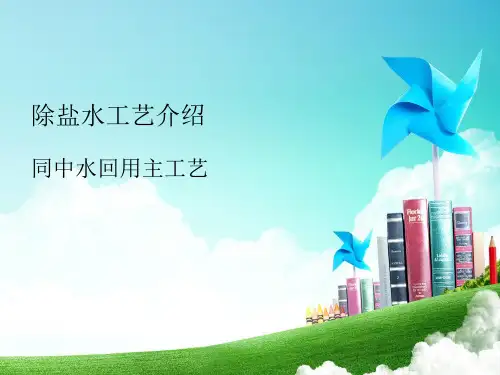 除盐水工艺培训课件