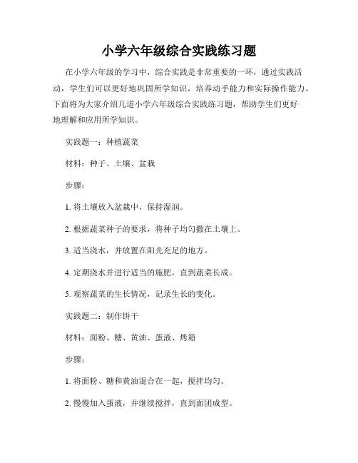 小学六年级综合实践练习题