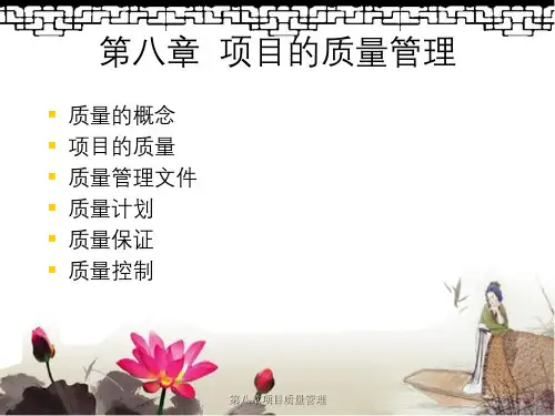第八章项目质量管理