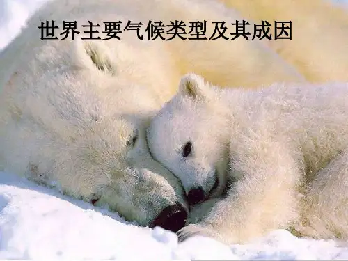 粤教版地理七年级上《世界的主要气候类型》ppt课件