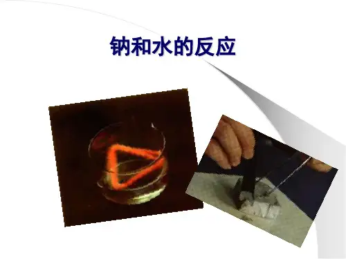 金属与水和酸反应课件