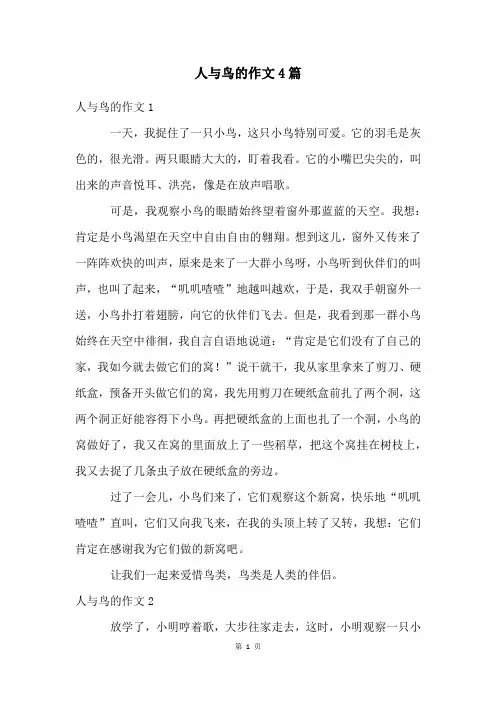 人与鸟的作文4篇