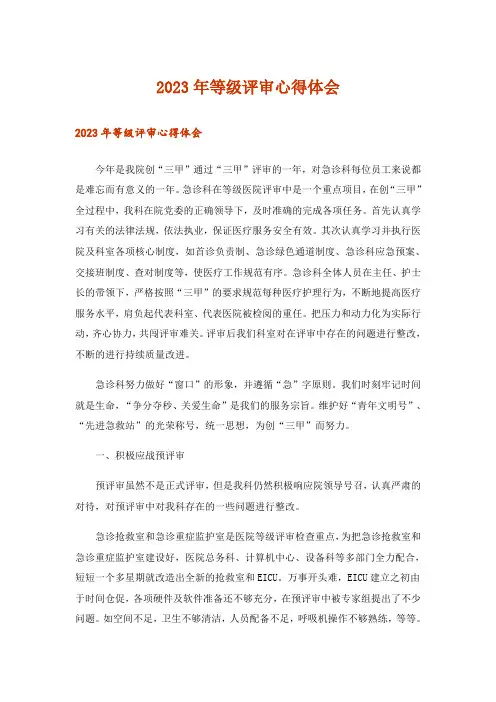 2023年等级评审心得体会