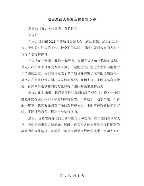 项目总结大会发言稿合集6篇
