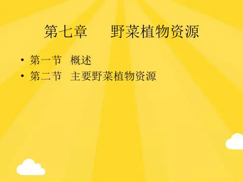 野生蔬菜资源(共55张PPT)