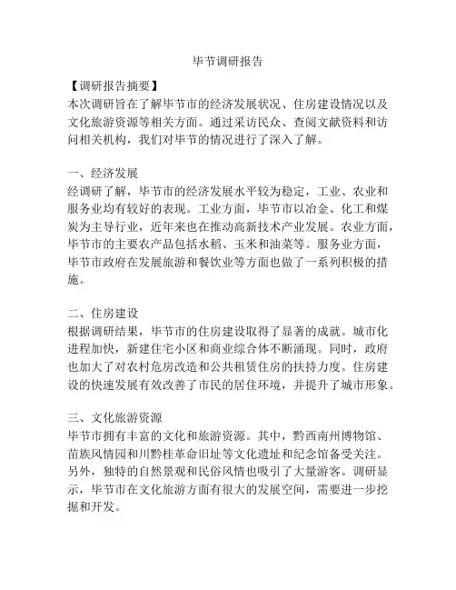 毕节调研报告