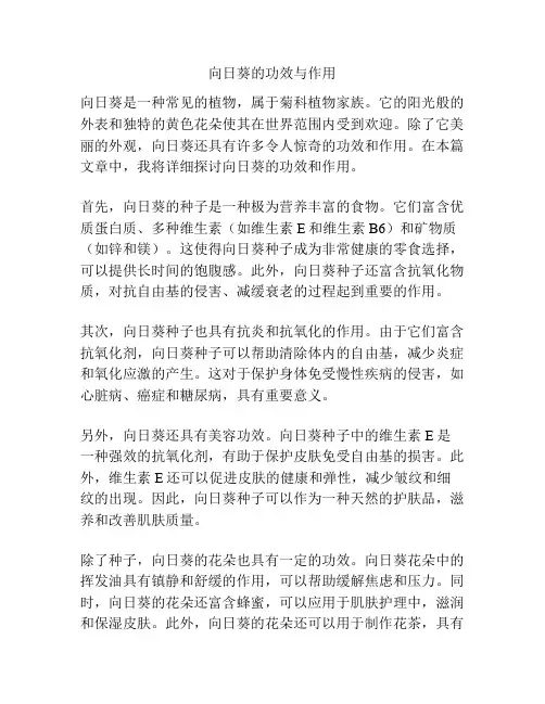 向日葵的功效与作用
