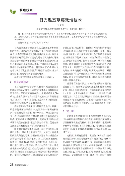 日光温室草莓栽培技术