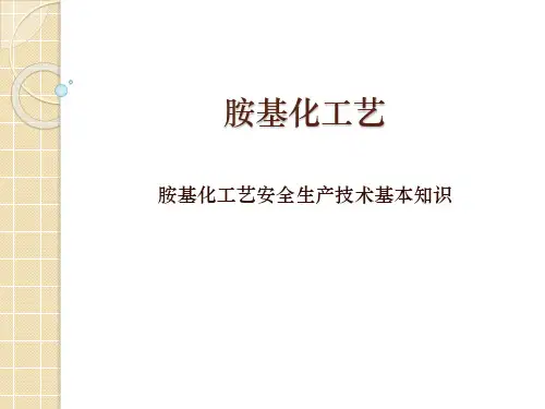 胺基化培训——胺基化工艺和设备安全技术
