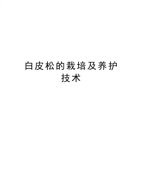 白皮松的栽培及养护技术讲解学习
