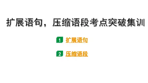 2024年四川中考语文二轮复习 扩展语句,压缩语段考点突破集训(课件)