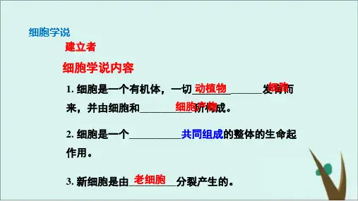 《走近细胞》PPT课件下载高中生物 人教版1
