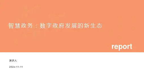 智慧政务：数字政府发展的新生态PPT模板