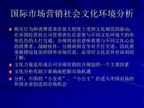 国际市场营销社会文化环境分析