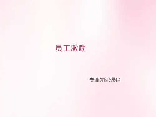 员工激励(专业技能培训)