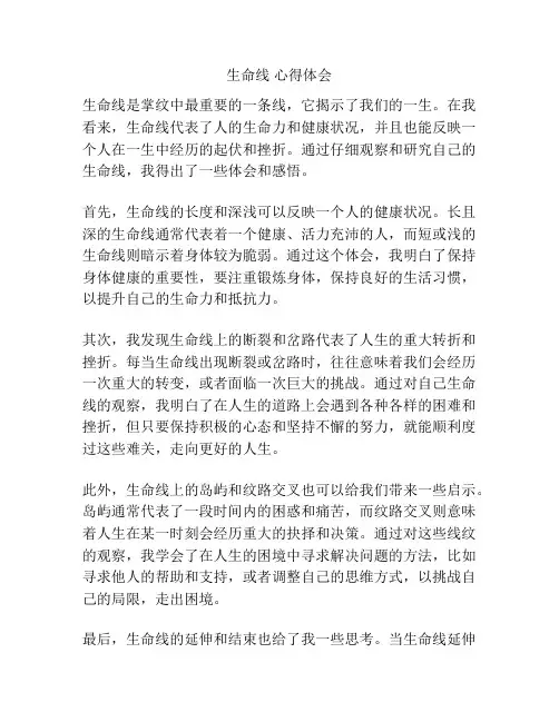 生命线 心得体会