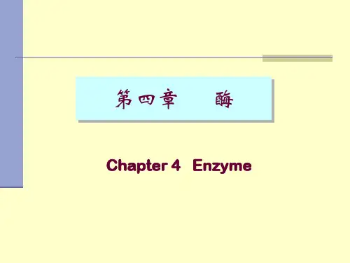 生物化学：第四章 酶化学