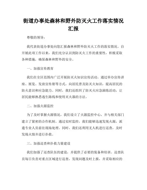 街道办事处森林和野外防灭火工作落实情况汇报
