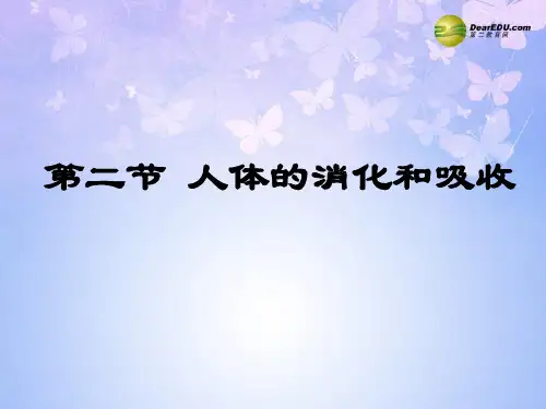 七年级生物下册 第九章 第二节 人体的消化和吸收课件 苏教版