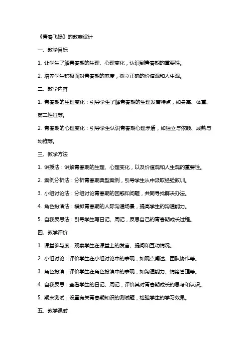 《青春飞扬》的教案设计
