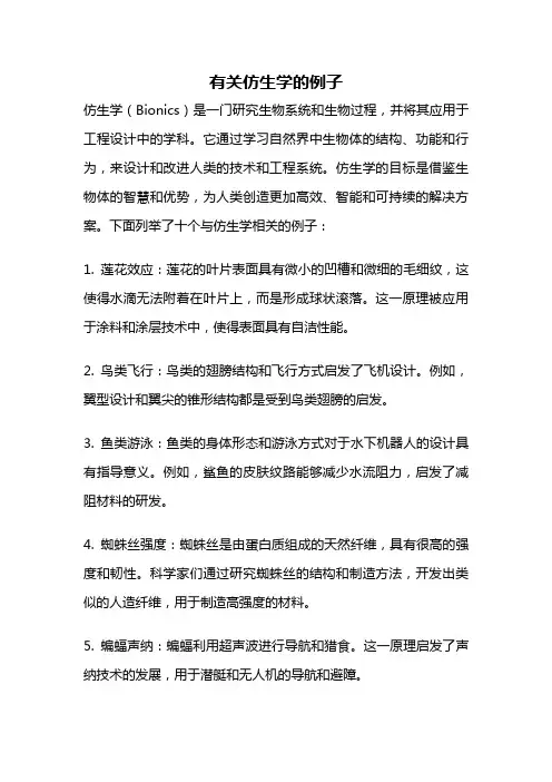 有关仿生学的例子