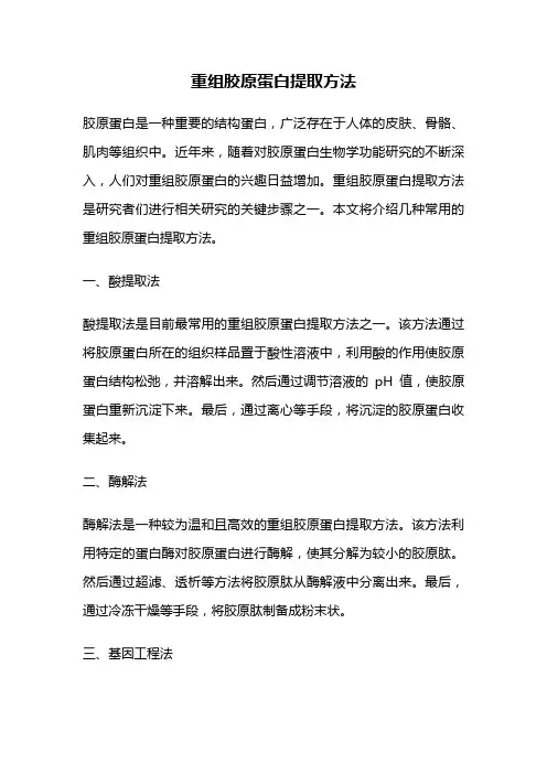 重组胶原蛋白提取方法