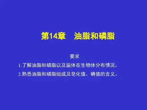 医用有机化学之油脂和磷脂