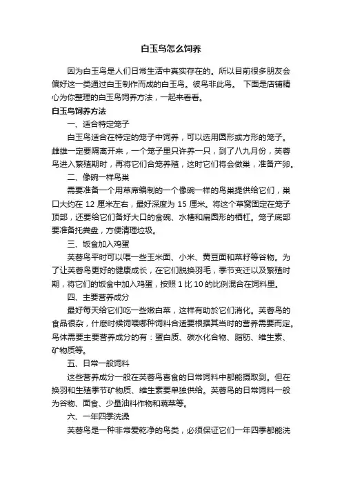白玉鸟怎么饲养