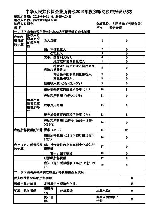 企业所得税年度纳税申报表(B类)