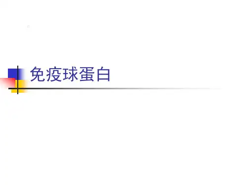 免疫球蛋白